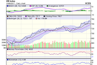 Biểu đồ kỹ thuật VN-Index. Nguồn: VCBS 