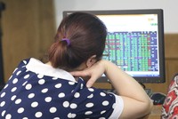 Tháng 5, chỉ số tăng, thanh khoản tăng trên HNX 