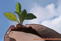 Triển khai TTCK phái sinh, cần chú ý phòng vệ rủi ro