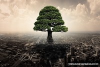 Sự kiện chứng khoán đáng chú ý ngày 16/12