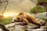 Nhận định thị trường phiên 8/11: Chưa nên mua thêm