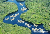 Dòng tiền tìm đến cổ phiếu bất động sản khu công nghiệp