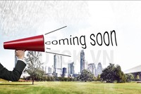 Môi giới và góc khuất mang tên “hoa hồng“