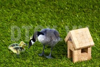 Các loại thuế người nước ngoài phải chịu khi mua nhà tại Việt Nam