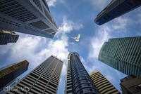 Dấu hiệu trưởng thành