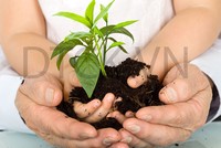 Các lỗi cơ bản khi mua bảo hiểm nhân thọ