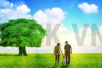 Bảo hiểm xã hội, chỉ nên quy định mức đóng tối thiểu