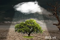 Sự kiện chứng khoán đáng chú ý ngày 18/3