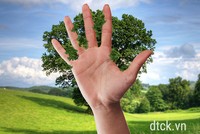 Luật Kinh doanh bảo hiểm: Nhiều nội dung cần sửa đổi, bổ sung