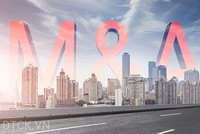 Thị trường mua bán sáp nhập 2019: Khối ngoại chạy đua đổ vốn vào Việt Nam