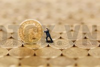 Hà Nội linh hoạt phương thức thoái vốn tại doanh nghiệp