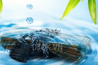 Công ty DanaHome Land bị phạt khi xây dự án chưa đủ điều kiện