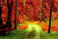 THT: Ngày GDKHQ trả cổ tức năm 2019 bằng tiền mặt (10%)