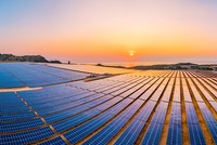 Cổ phiếu năng lượng mặt trời giảm mạnh mặc dù nhu cầu về điện mặt trời đang bùng nổ