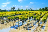 Thúc đẩy chuyển đổi sang kinh tế tuần hoàn cần nâng cao nhận thức và hoàn thiện chính sách