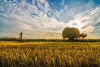 Sự kiện chứng khoán đáng chú ý ngày 16/7