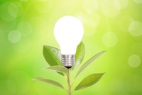 Nhận định thị trường phiên giao dịch chứng khoán ngày 19/8: Tận dụng những nhịp điều chỉnh mạnh để tích lũy cổ phiếu 