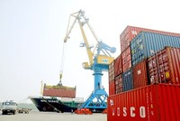 DXP lãi trước thuế 30 tỷ đồng