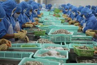 Thu nhập của người lao động tăng thấp nhất trong nhiều năm trở lại đây