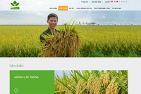 PAN chào mua công khai hơn 1,857 triệu cổ phiếu NSC