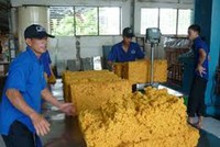 6 tháng, PHR ước lãi ròng trên 63 tỷ đồng