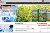 QBS không góp vốn vào Nông nghiệp Quảng Bình Tây Nguyên 