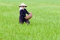 Xử lý nghiêm các cơ sở sản xuất phân bón không đảm bảo chất lượng