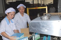 Xem chiến lược toàn cầu hóa của VNM, Viettel, FPT