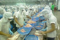 CMX: 4 quý có lãi, cả năm lỗ 127,8 tỷ đồng