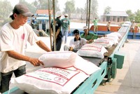 Tính đến ngày 23/2/2014, Thái Lan mới chỉ xuất khẩu được 464.000 tấn gạo trắng