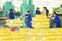 Tháng 2, DPR đạt lợi nhuận thấp hơn cùng kỳ