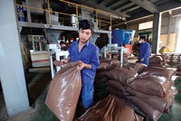 Doạnh nghiệp sản xuất thức ăn chăn nuôi trong nước đang phải cạnh tranh gay gắt với doanh nghiệp FDI 