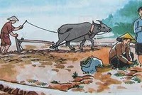 Bộ Xây dựng và câu chuyện "Đẽo cày giữa đường"