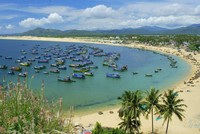 Quy Nhơn muốn đạt danh hiệu: “Thành phố sống tốt”