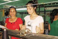 AWI xây dựng kế hoạch kết nối các nhà máy len tại Việt Nam