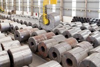 ĐHCĐ lần 1 của TLH không thành