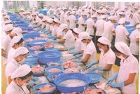 Thiếu vốn, TS4 xin giảm cổ tức 2013 xuống 8%