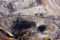 THT: Cổ đông đòi trả cổ tức cao