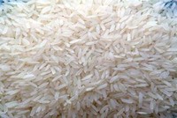 Gạo Nàng thơm Chợ Đào và thanh long Châu Thành được cấp chứng nhận bảo hộ độc quyền tại Hoa Kỳ