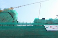 CTD: Cổ đông nôn nóng muốn thưởng cổ phiếu