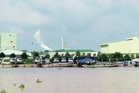 Đồng Tháp là tỉnh tập trung nhiều nhà máy chế biến thủy sản      