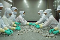 Minh Phú tiếp tục tìm kiếm nhà đầu tư chiến lược