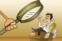Công ty đại chúng minh bạch “vừa đủ để thanh tra”
