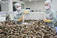 Mỹ tăng thuế chống bán phá giá gấp 3 lần so với phán quyết sơ bộ