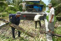 KTS có kế hoạch trả cổ tức 15-20%