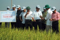 NSC gom cổ phiếu nhiều công ty cùng ngành