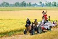 TSC: FIT có thể nắm tới 75% vốn điều lệ