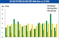Cần một chính sách rõ ràng trong thu hút vốn ngoại