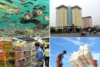 Bình Định cấp phép dự án FDI đầu tư chế biến lâm sản