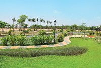 Gold Hill địa điểm hấp dấn để sống và làm việc